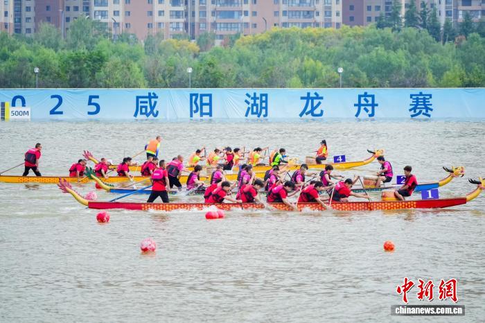 2025咸阳龙舟赛落幕：十一