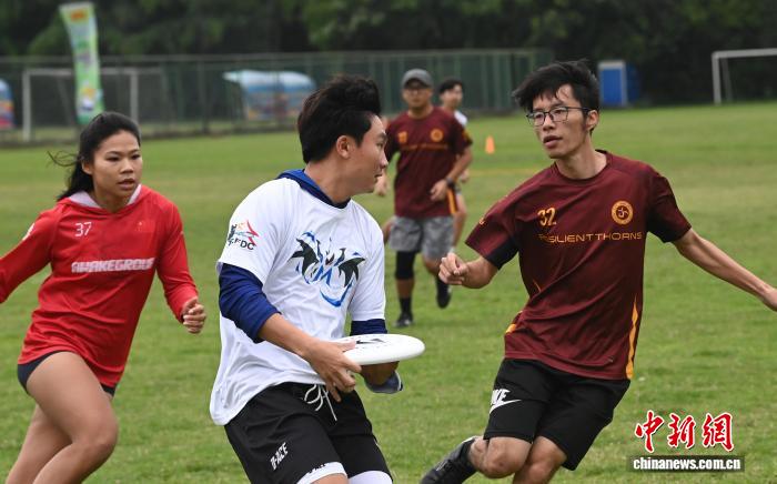 两岸飞盘爱好者齐聚梧州同场竞技