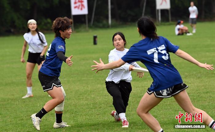 两岸飞盘爱好者齐聚梧州同场竞技